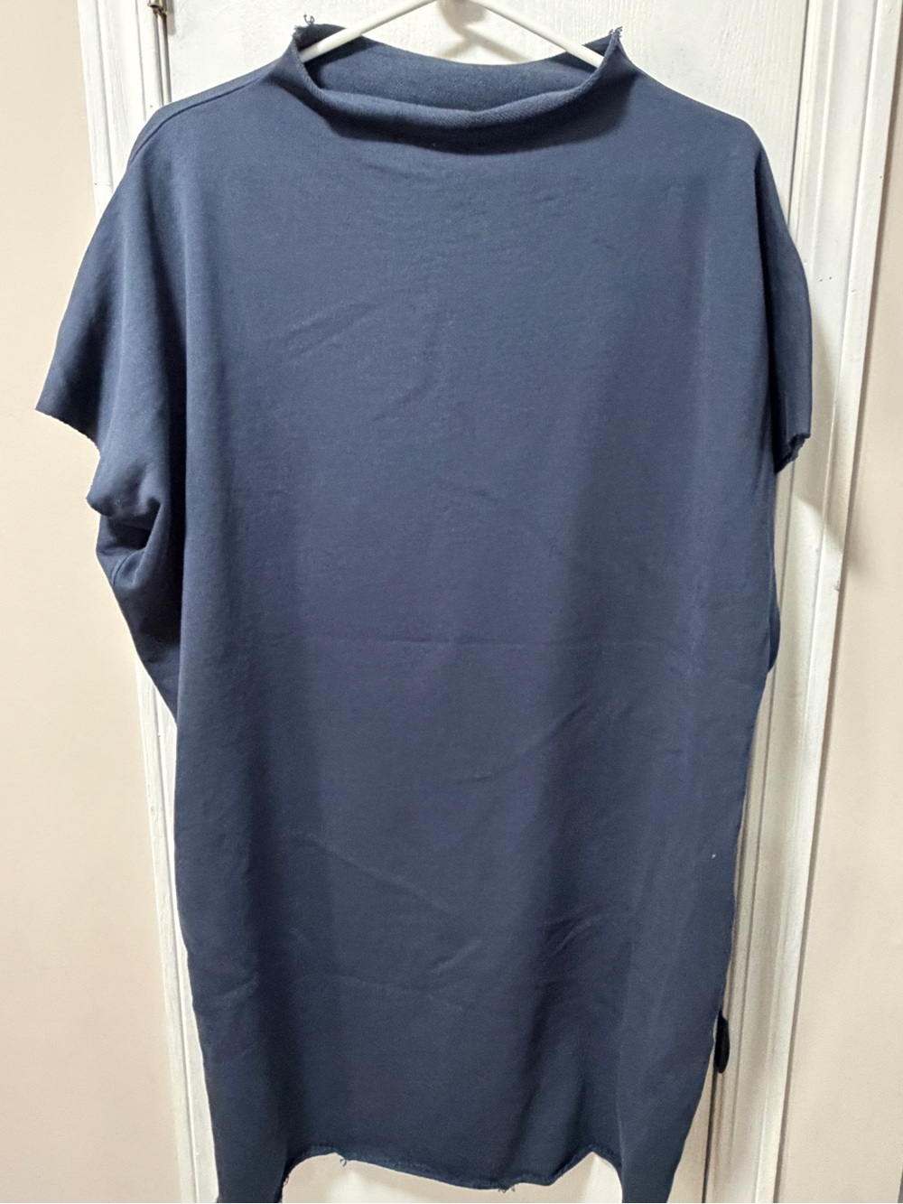 Le Marais Mini Dress with Mock Neck nwt large